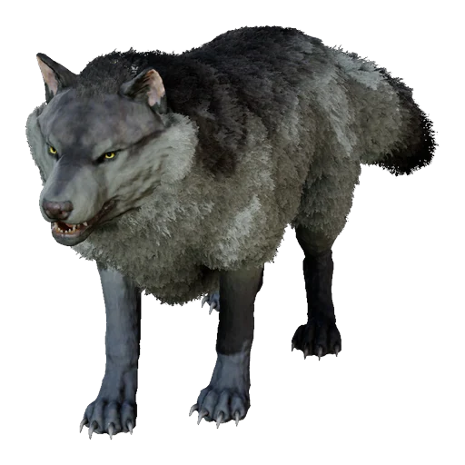 Direwolf